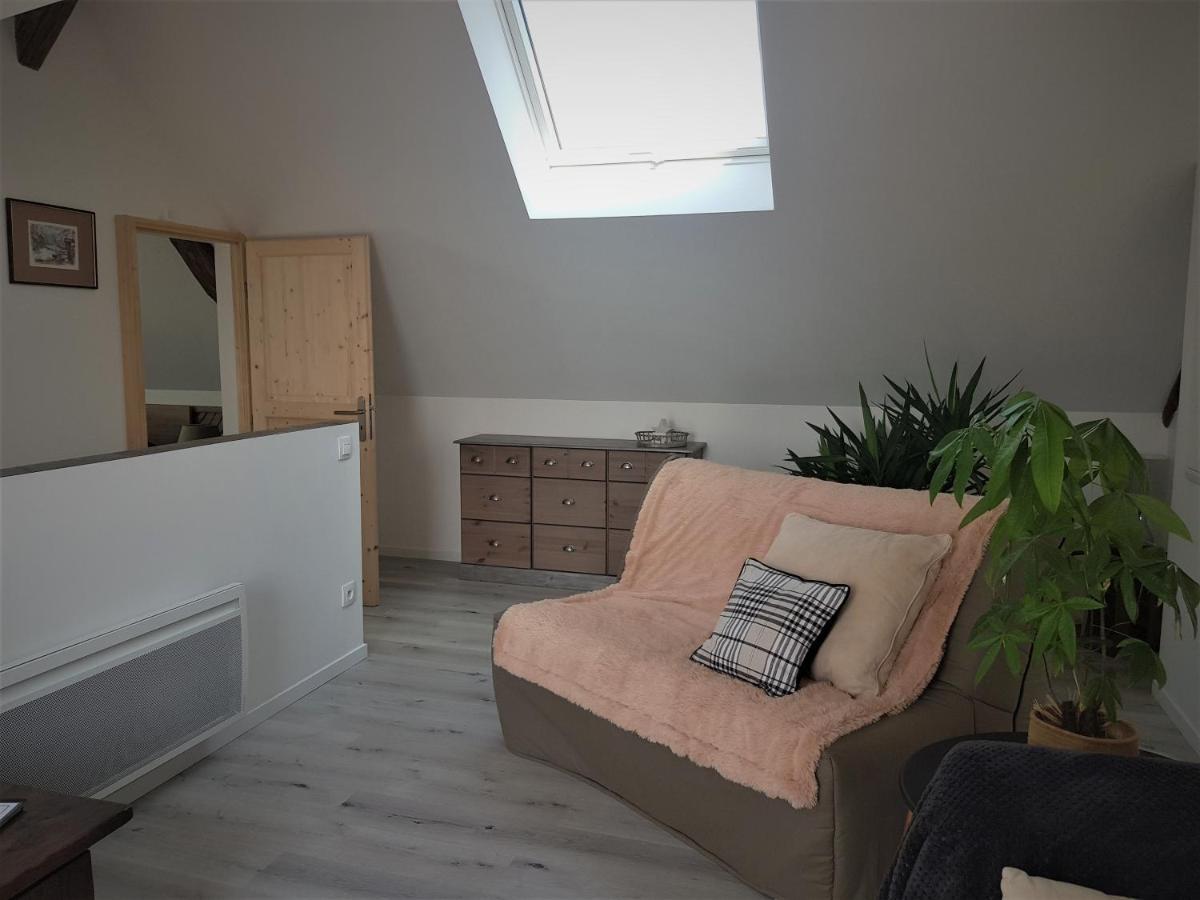 Au Gre De L'Ill "Les Toits D'Horbourg" Appartement Buitenkant foto