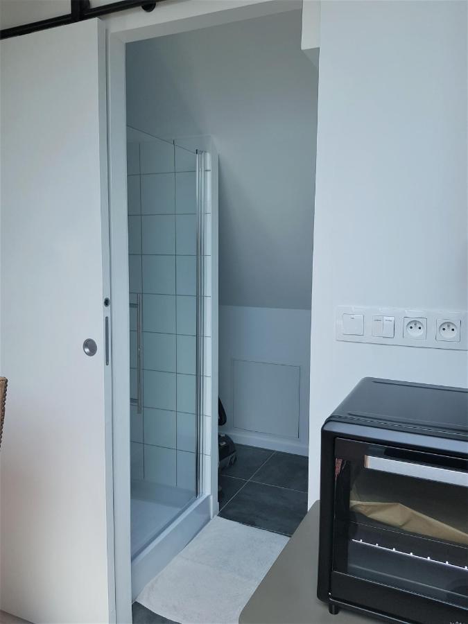 Au Gre De L'Ill "Les Toits D'Horbourg" Appartement Buitenkant foto