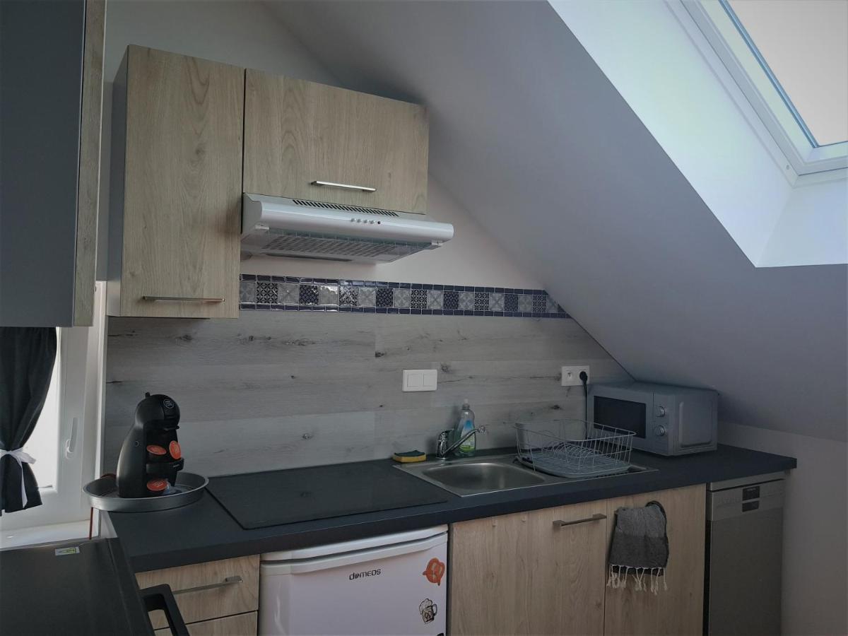 Au Gre De L'Ill "Les Toits D'Horbourg" Appartement Buitenkant foto