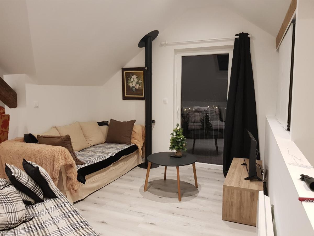 Au Gre De L'Ill "Les Toits D'Horbourg" Appartement Buitenkant foto